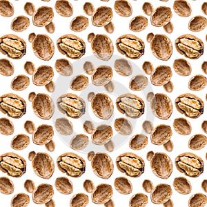 Walnut seamless pattern backdrop. Open nut shell and kernel on white background