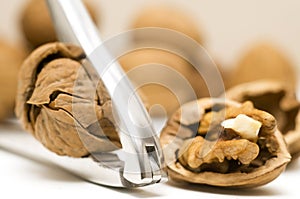 Walnut shell cracked