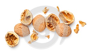 Walnut Shells Isolated On White Background