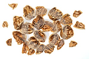 Walnut shells open, broken falling.