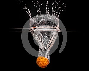 Walnut Splash Photography: on a black background