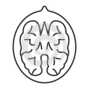 Walnut thin line icon, vegetable and nut