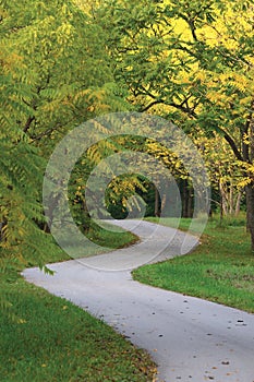 Walnut Trees In Autumnal Park, Large Detailed Vertical Landscaped Autumn Path Scene, Twisting Tarmac Walkway, Winding Asphalt Road