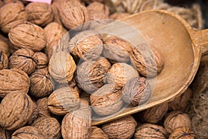 Walnut Typical products of Emilia Romagna