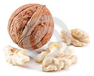 Walnut and walnut kernel isolated on white background