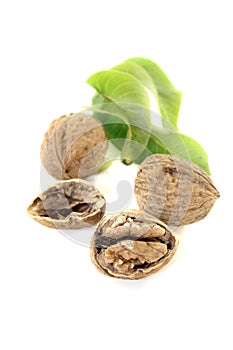 Walnut with walnut leaves