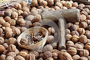 Walnut