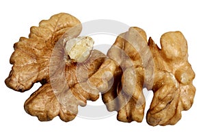 Walnut on a white background