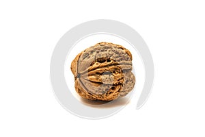 Walnut on white background. Isolated background