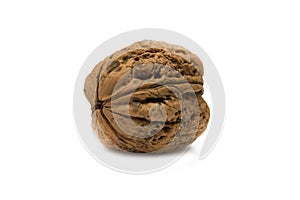 Walnut on white background. Isolated background