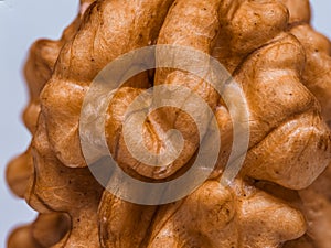 Walnut On A White Background. Nut kernel nut on a white background. Lots of details, Makro