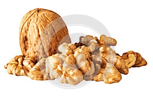 Walnut whole and pieces isolated on white clipping path
