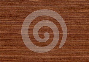 Walnut wood, can be used as background, wood grain texture