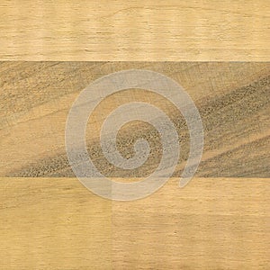 Walnut wood, can be used as background, wood grain texture