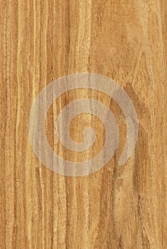 Walnut (wood texture)