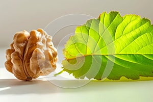 A walnutnut and leaf side by side, parkinson nutrition and diet image