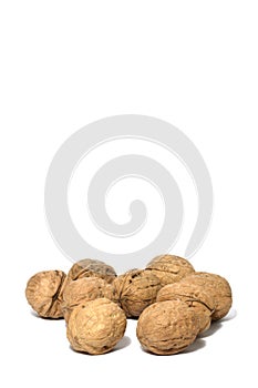 Walnuts photo