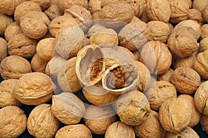 Walnuts photo