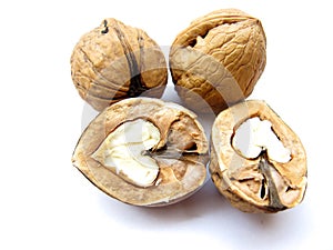 Walnuts photo