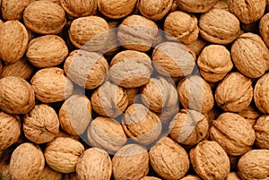 Walnuts photo