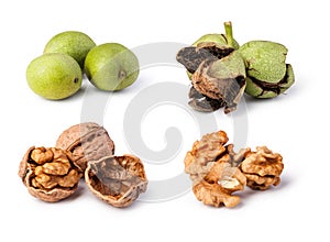 Walnuts