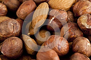 Walnuts and almonds