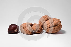 Walnuts, almonds and chestnuts photo