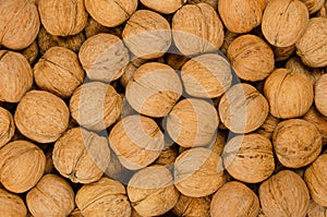 Walnuts background close up, pile of unshelled nuts