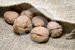 Walnuts in the bag