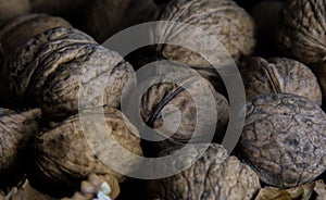 Walnuts on a dark black background