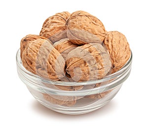 walnuts bowl path isolated