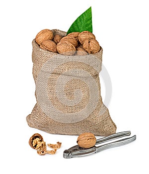 Walnuts in burlap bag