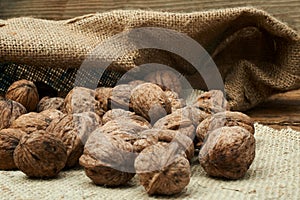 Walnuts in a burlap bag