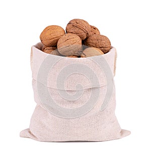 walnuts in burlap sack bag isolated on white background