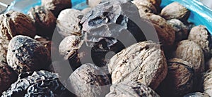 Walnuts close-up. Harvest of nuts. Walnut fruits, rounded large single single-seeded drupes. A healthy diet that includes