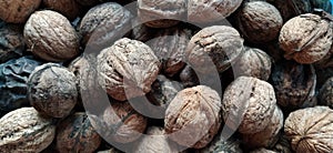 Walnuts close-up. Harvest of nuts. Walnut fruits, rounded large single single-seeded drupes. A healthy diet that includes