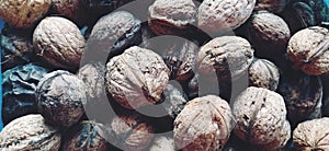 Walnuts close-up. Harvest of nuts. Walnut fruits, rounded large single single-seeded drupes. A healthy diet that includes