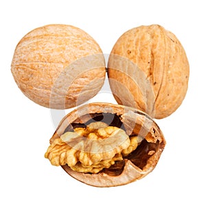 Walnuts close up isolated on white