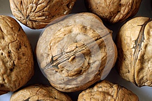 Walnut macro view