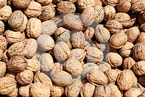 Walnuts closeup of a bag