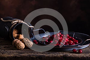 Walnuts and cranberries still life