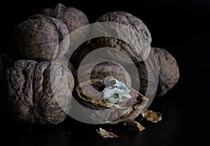 Walnuts on a dark black background