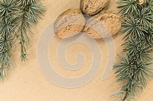 walnuts and fir twigs