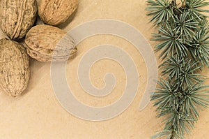 Walnuts and fir twigs