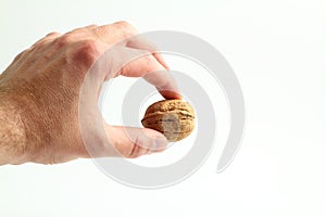 Walnuts food nut in hand on white background isolation