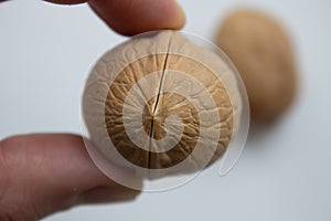 Walnuts food nut in hand on white background isolation