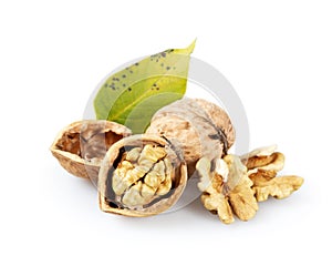 Walnuts and green leaf on a white background