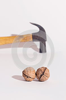 Walnuts and a hammer, on a white surface.