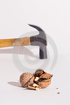 Walnuts and a hammer, on a white surface.