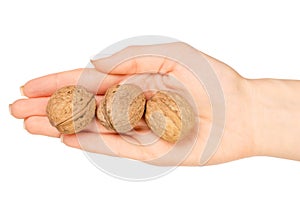 Walnuts in hand